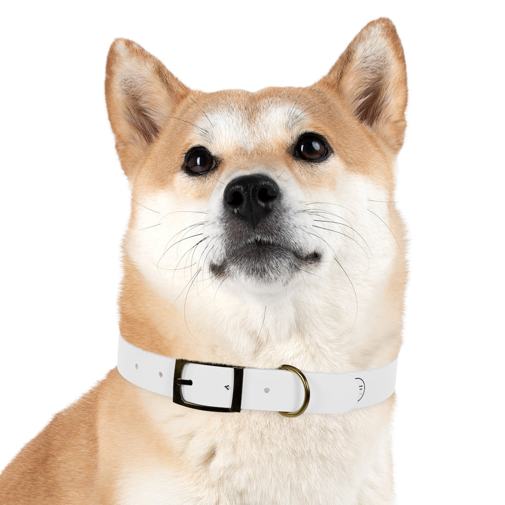 RF Dog Collar